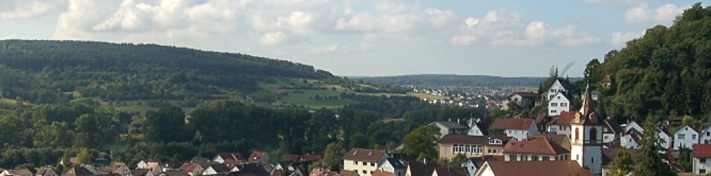 Schwäbischer Albverein | Ortsgruppe Enzberg